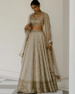 Booti & Jaal Panel Tissue Lehenga