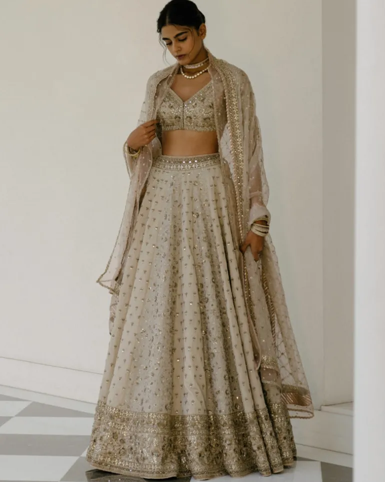 Booti & Jaal Panel Tissue Lehenga