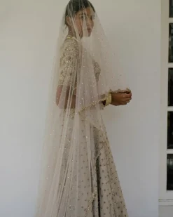 Booti & Jaal Panel Tissue Lehenga