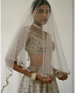 Booti & Jaal Panel Tissue Lehenga