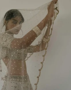 Booti & Jaal Panel Tissue Lehenga