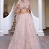 Bring Your Own Fairy Tale Lehenga Set