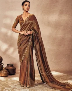 Brown Madakal Tissue Sari Set