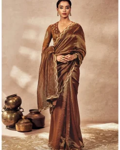 Brown Madakal Tissue Sari Set