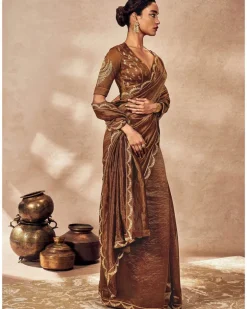 Brown Madakal Tissue Sari Set