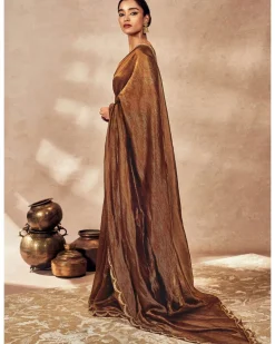 Brown Madakal Tissue Sari Set