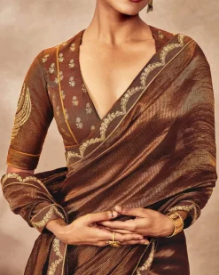 Brown Madakal Tissue Sari Set