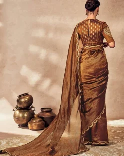Brown Madakal Tissue Sari Set