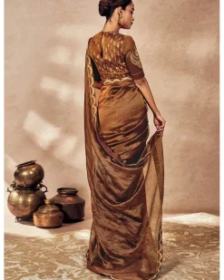 Brown Madakal Tissue Sari Set