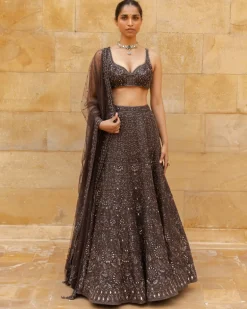 Brown Sequin Embroidered Lehenga Set