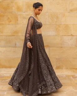 Brown Sequin Embroidered Lehenga Set
