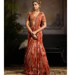 Burnished Gold Sari Set