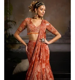 Burnished Gold Sari Set