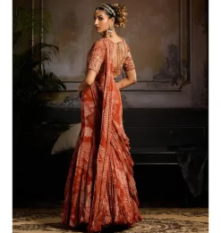 Burnished Gold Sari Set