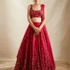 Caramine Pink Embellished Lehenga Set
