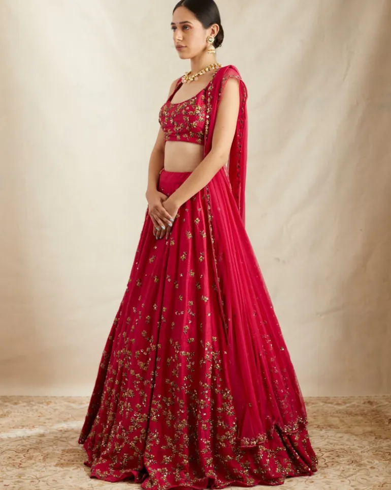 Caramine Pink Embellished Lehenga Set