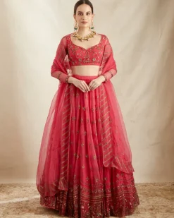 Caramine Pink Organza Silk Embroidered Lehenga Set
