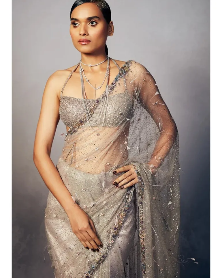 Carla Shimmer Tulle Sari Set