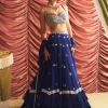 Chameli Lehenga Set