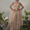 Champagne Cape Sharara Sari Set