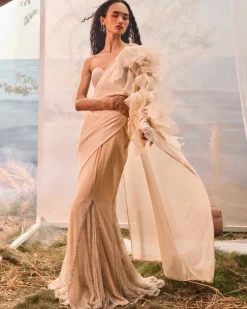 Champagne Kali With 3D Organza Flowers Sari Set