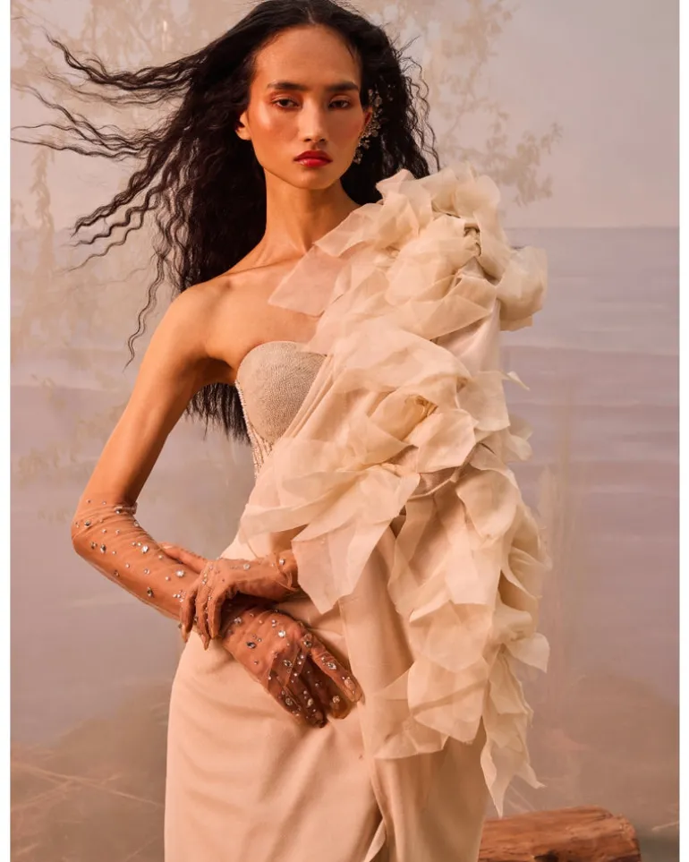 Champagne Kali With 3D Organza Flowers Sari Set