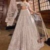Champagne Pearl Bugle Bead Lehenga Set