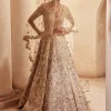 Champagne Raw Silk Mirror Lehenga Set