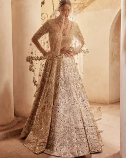 Champagne Raw Silk Mirror Lehenga Set