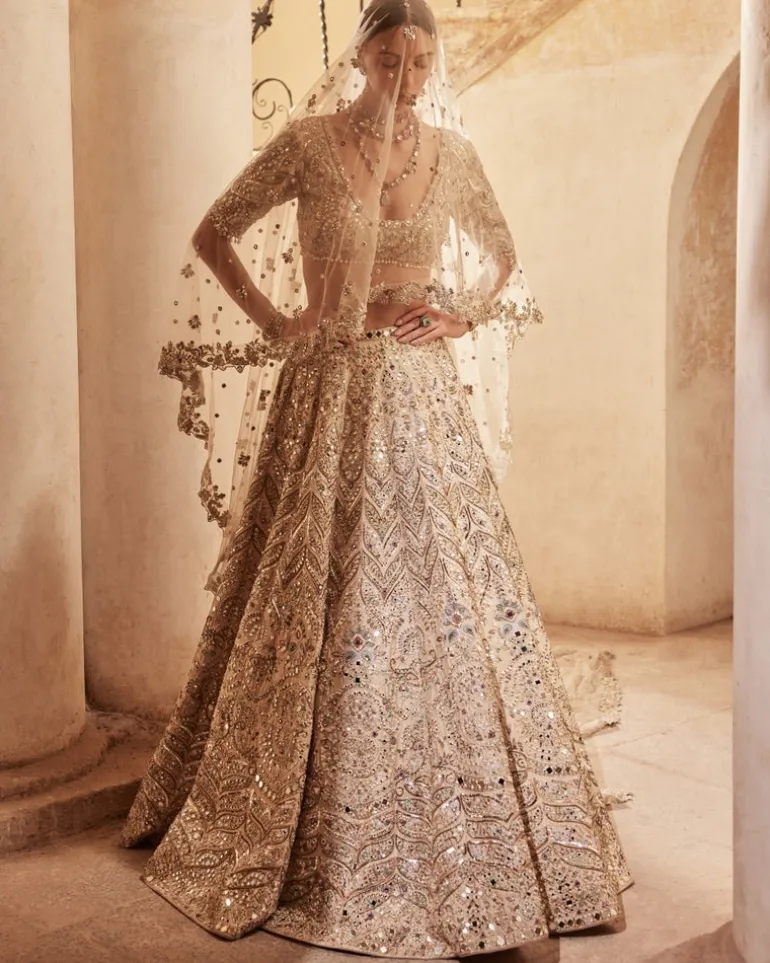 Champagne Raw Silk Mirror Lehenga Set