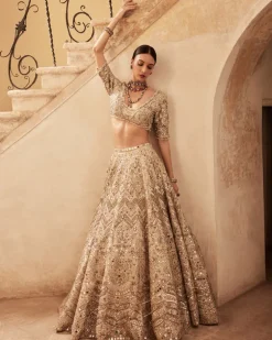 Champagne Raw Silk Mirror Lehenga Set