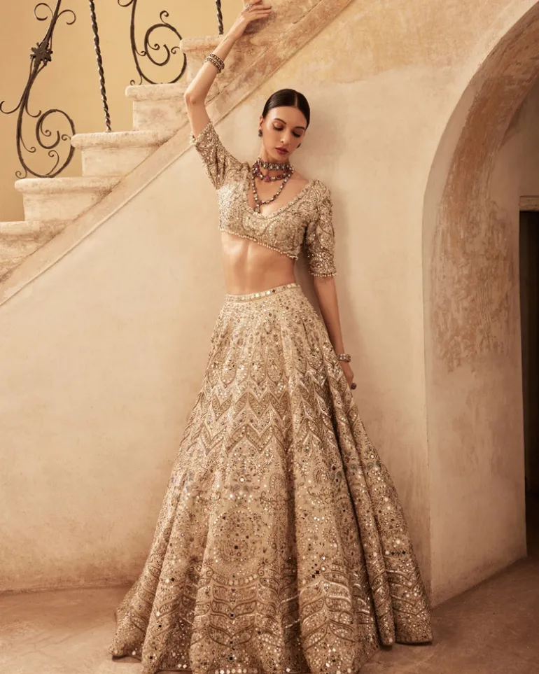 Champagne Raw Silk Mirror Lehenga Set