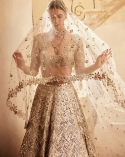 Champagne Raw Silk Mirror Lehenga Set