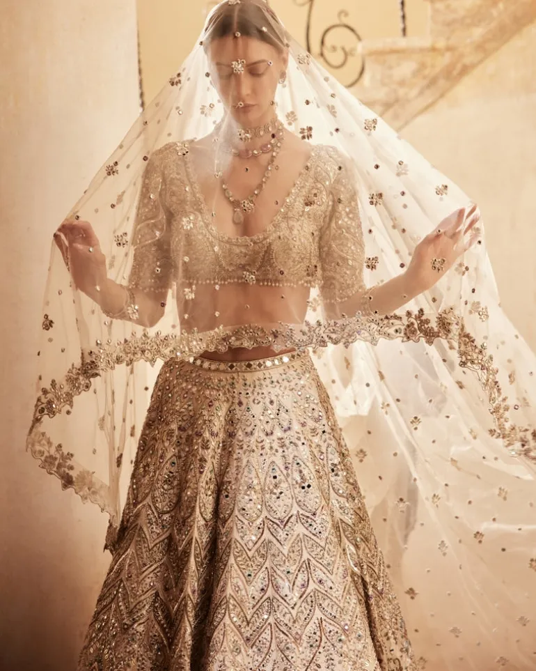 Champagne Raw Silk Mirror Lehenga Set