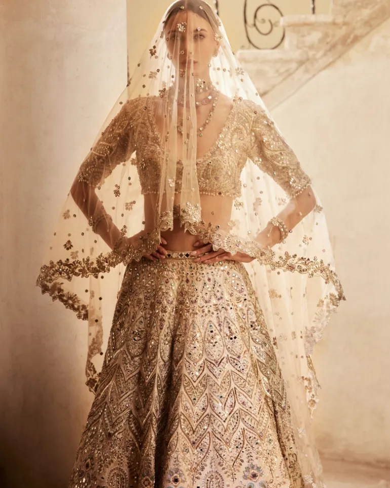 Champagne Raw Silk Mirror Lehenga Set