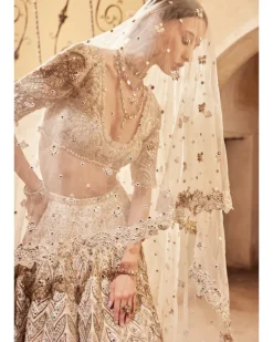 Champagne Raw Silk Mirror Lehenga Set