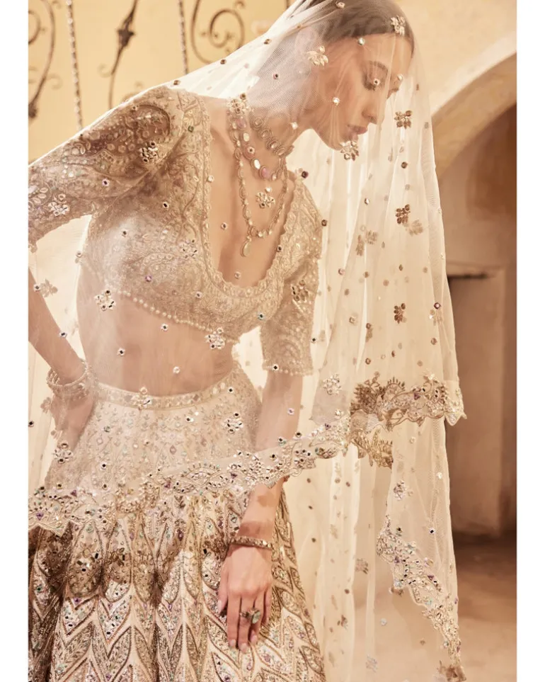 Champagne Raw Silk Mirror Lehenga Set