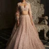 Champagne Sequin Lehenga Set