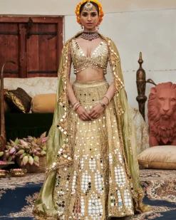 Chand Aayna Lehenga Set