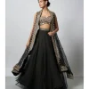 Chandana Lehenga Set