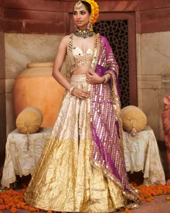 Chandi Sona Halftone Lehenga Set