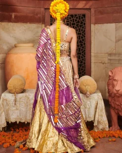 Chandi Sona Halftone Lehenga Set