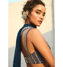 Chayya Pre-Draped Sari Set