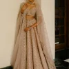 Chevron & Jaal Panel Lehenga