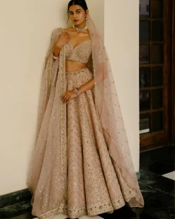 Chevron & Jaal Panel Lehenga
