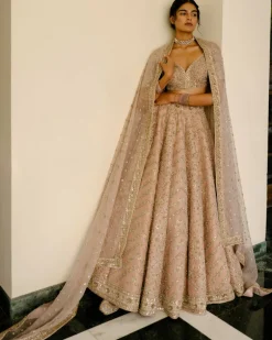 Chevron & Jaal Panel Lehenga