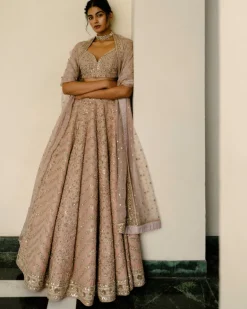 Chevron & Jaal Panel Lehenga