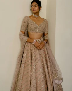 Chevron & Jaal Panel Lehenga