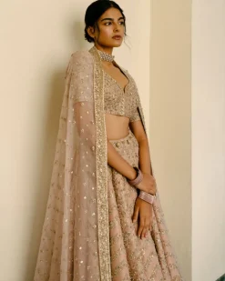 Chevron & Jaal Panel Lehenga