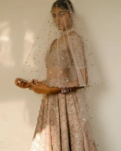 Chevron & Jaal Panel Lehenga